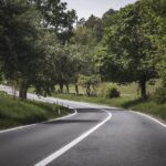 road, 4k wallpaper, wallpaper hd, windows wallpaper, desktop backgrounds, 4k wallpaper 1920x1080, beautiful nature, full hd wallpaper, hd wallpaper, highway, asphalt, trees, free wallpaper, travel, nature background, nature, landscape, nature wallpaper, wallpaper, background, woods, green, transylvania, romania, free background, trip, motorway, wallpaper 4k, way, cool backgrounds, beautiful wallpaper, mac wallpaper, laptop wallpaper, roadway